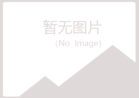 湛江霞山迷失建筑有限公司